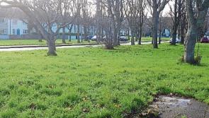 Call for more parking spaces in housing estate in Tipperary