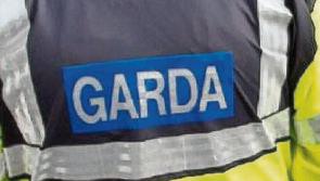 Garda investigation into break-in at house in county Tipperary village