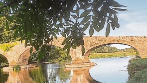Huge boost of 90% funding for one Tipperary Tidy Towns effort