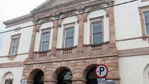 Suspended jail term for immigrant who assaulted man and stole rhododendrons from Cashel house