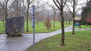 Pedestrian crossing requested for entrance to popular Tipperary park