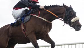 Get your racing tips right here  for Thurles races today
