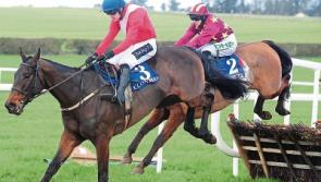 Powerstown Park in Clonmel hosts prestigious Surehaul/Mercedes-Benz novice hurdle