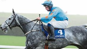 Feature race moved to Navan following cancellation of horse racing in Clonmel