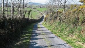 Group founded in Tipperary lobbies ministers on protection of hedgerows 