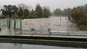 Glass bridge in Clonmel's Old Bridge to reopen, as water levels drop