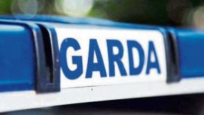 Bicycle thieves strike again in Clonmel 