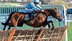 'Special mare' Honeysuckle leads all-star cast for Dublin Racing Festival