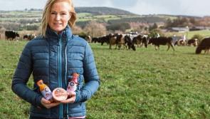 Tipperary's award-winning Tullahay Farm is on its way to Europe