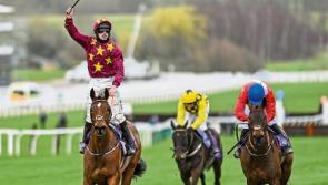 Cheltenham Gold Cup winner Minella Indo bears the name of well-known Tipperary hoteliers