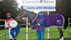 Joint favourite Oscar Thyne driven out to win beginners' chase in Clonmel