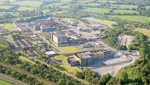 Pharmaceutical giant MSD seeks planning approval for further expansion of its Tipperary plant 
