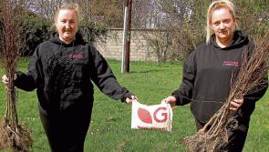 Hi Ho, Hi Ho - It's back to work for residents in county Tipperary housing estate
