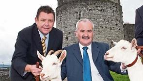Court is asked to join late Bothar founder's estate to case against former Tipperary CEO