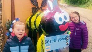 Scary Gaga is Tipperary communities' top Halloween scarecrow