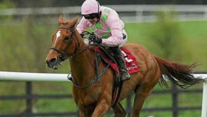 Cheltenham Festival Tips: Wednesday's top picks