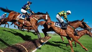 THE PUNTER'S EYE: Punchestown Day 1 Tips and Preview 