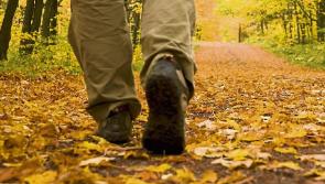 Mid Tipperary Hillwalkers