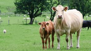 Farmers are demanding more as prices increase