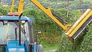 Some overgrown hedges in County Tipperary are ‘putting lives at risk' 