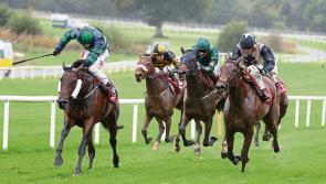 THE PUNTER'S EYE: Four horses to back as top class jumps racing returns