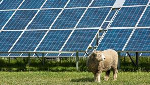 Tipperary farming: solar energy scheme 'must include panels on farm sheds'