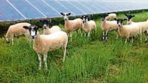 Second Cahir solar farm planning decision due soon