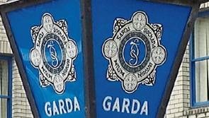 Nenagh Gardai make two drugs finds