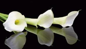 Recent deaths in Tipperary, Friday 21 October