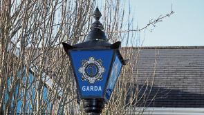 Gardai arrest man and seize more than €90,000 as part of money laundering investigation in Tipperary