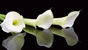 Recent deaths in Tipperary Friday 28 October