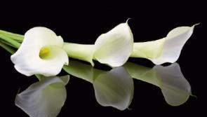 Recent deaths in Tipperary Friday November 4th