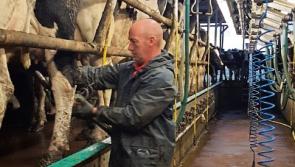 Milking course will help cream rise to the top