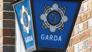 Gardaí seek public's help in tracing criminals who burgled house in Ballypatrick area