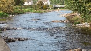 Gates will be installed on new river slalom course in Clonmel