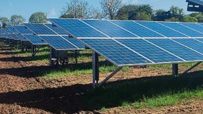 Clonmel project included in  first round of  government renewable electricity support scheme 