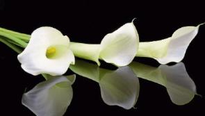 Recent deaths in Tipperary Friday 18 November