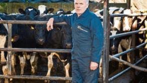 All eyes on co-ops after Lakeland's 1cpl increase