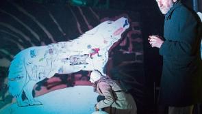 Clonmel festival spread the message of innovation through design