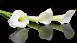 Local deaths and funeral details - Offaly (January 31)