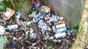 Thurles pipped for top spot in IBAL anti litter league award