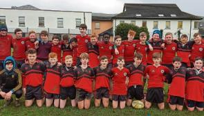 Clonmel High School bring curtain down on season with Bells and Elves clash