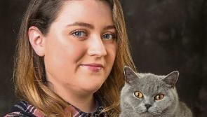 Clonmel cat re-united with its owner after two months lost in Dublin
