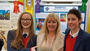 Great success for Tipperary students at Young Scientists expo