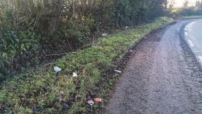 'Disgraceful' dumping on Tipperary roadway condemned