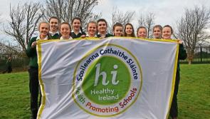 Carrick-on-Suir school award HSE health flag
