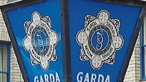 Tipperary Gardai seize drugs worth €2,900 in Roscrea