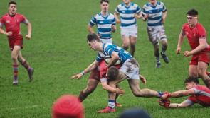 Injuries prove costly as Rockwell College bow out of Senior Cup