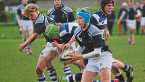Lionhearted Rockwell bow out of Munster Junior Schools
