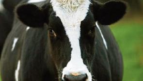 Farming groups say latest figures justify 1c increase